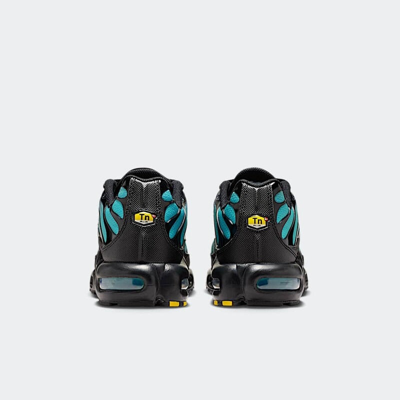 Nike Air Max Plus Black Dusty Cactus