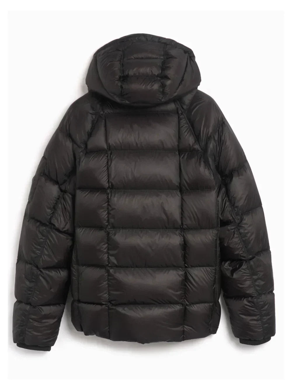 Company Jacket