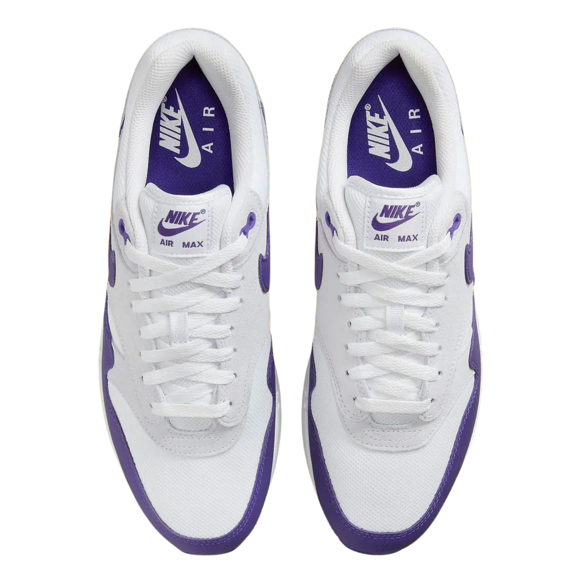 Nike Air Max 1 'Field Purple'