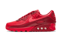 Nike Air Max 90 Chi-City Special